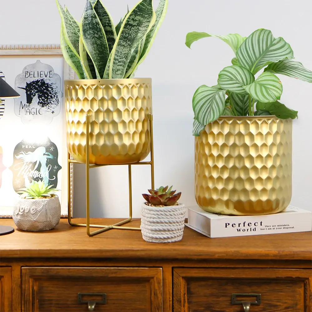 Flower Pots for Living Room Flower Pot Wholesale - NEW IMAGE 2