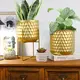 Flower Pots for Living Room Flower Pot Wholesale - NEW IMAGE 2