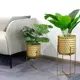 Flower Pots for Living Room Flower Pot Wholesale - NEW IMAGE 6