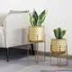 Flower Pots for Living Room Flower Pot Wholesale - NEW IMAGE 3