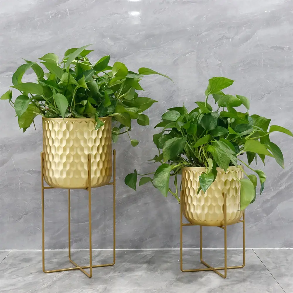 Flower Pots for Living Room Flower Pot Wholesale - NEW IMAGE 4