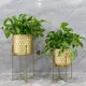 Flower Pots for Living Room Flower Pot Wholesale - NEW IMAGE 4