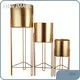 Decorative Flower Pots for Living Room Floor/ Garden - - NEW IMAGE 1