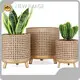 Free Standing Flower Planters Flower/Green Plant by NEW IMAGE 1