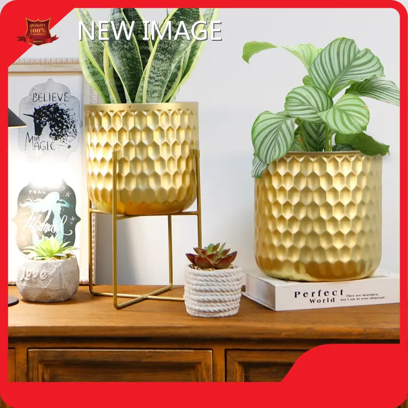 Flower Pots for Living Room Flower Pot Wholesale - NEW IMAGE 1
