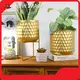 Flower Pots for Living Room Flower Pot Wholesale - NEW IMAGE 1