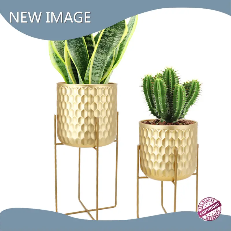 Flower Pot Manufacturers - - NEW IMAGE 1