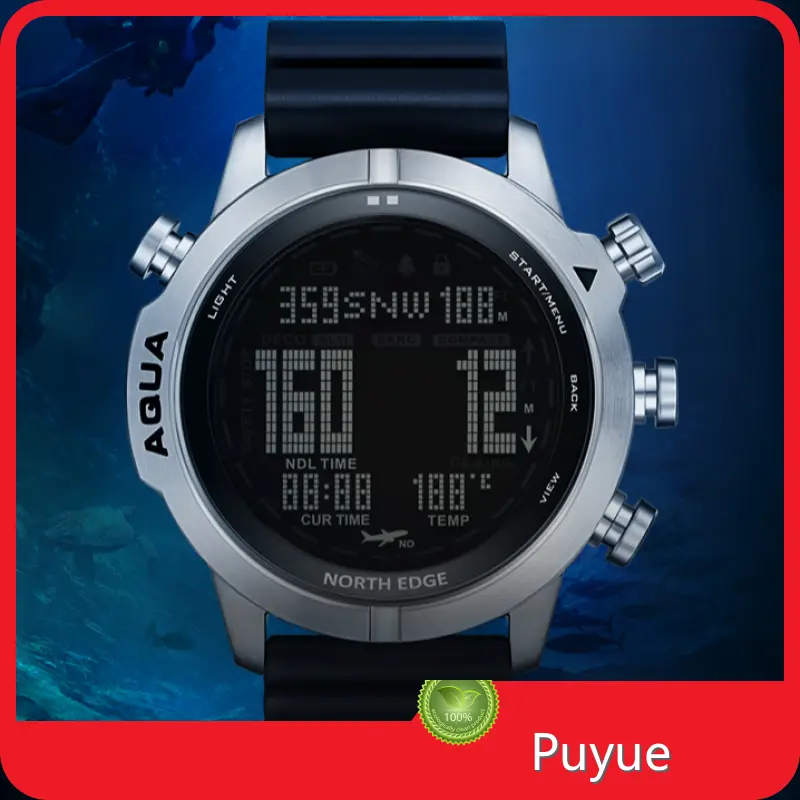 Puyue Dive Watches Under 2000 Upplier 1
