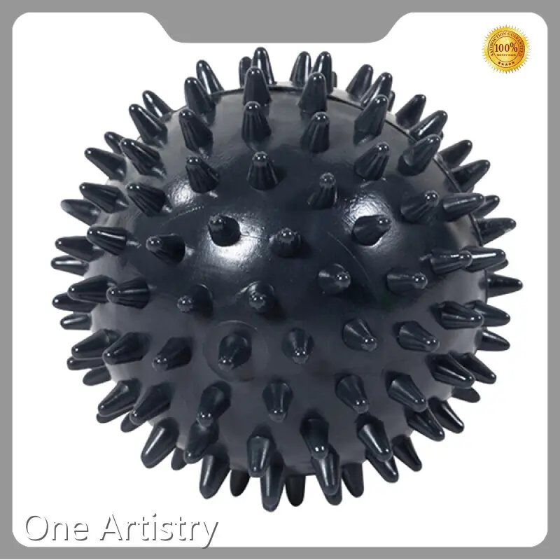 One Artistry Fitness Accessories Fitness Accessories Vendor 1