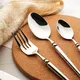Travel Cutlery Set 60 Days After Get Deposite Copper Made in China 4