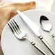 Travel Cutlery Set 60 Days After Get Deposite Copper Made in China 3