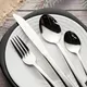 Factory Price Silver Flatware Set for Office 4