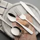 Stainless Steel Flatware T-0132-S-L4 T/T Etcfactory Direct Supply 6