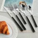 Factory Direct Silver Flatware Set for Office 2