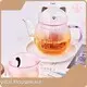 Professional Glass Infuser Pitcher for Home Use 1