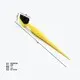 Bepoke Hard Plastic Hair Brush Directly Sale 2