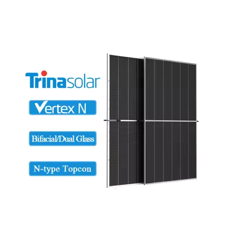 Trina Solar Topcon n Tipo Módulo PV Dual 600W 605W 610W 615W 620W 625W 630W Panel de vidrio doble solar 1