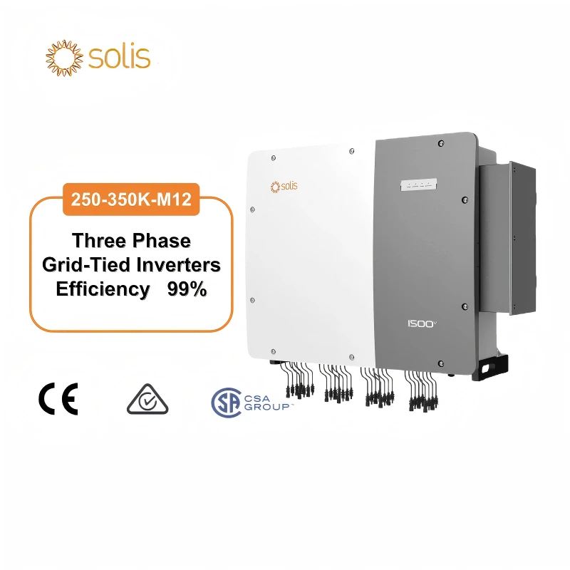 250kW Solis Solis Inverter in tre fasi legati a griglia di alta qualità con sistema di monitoraggio 1