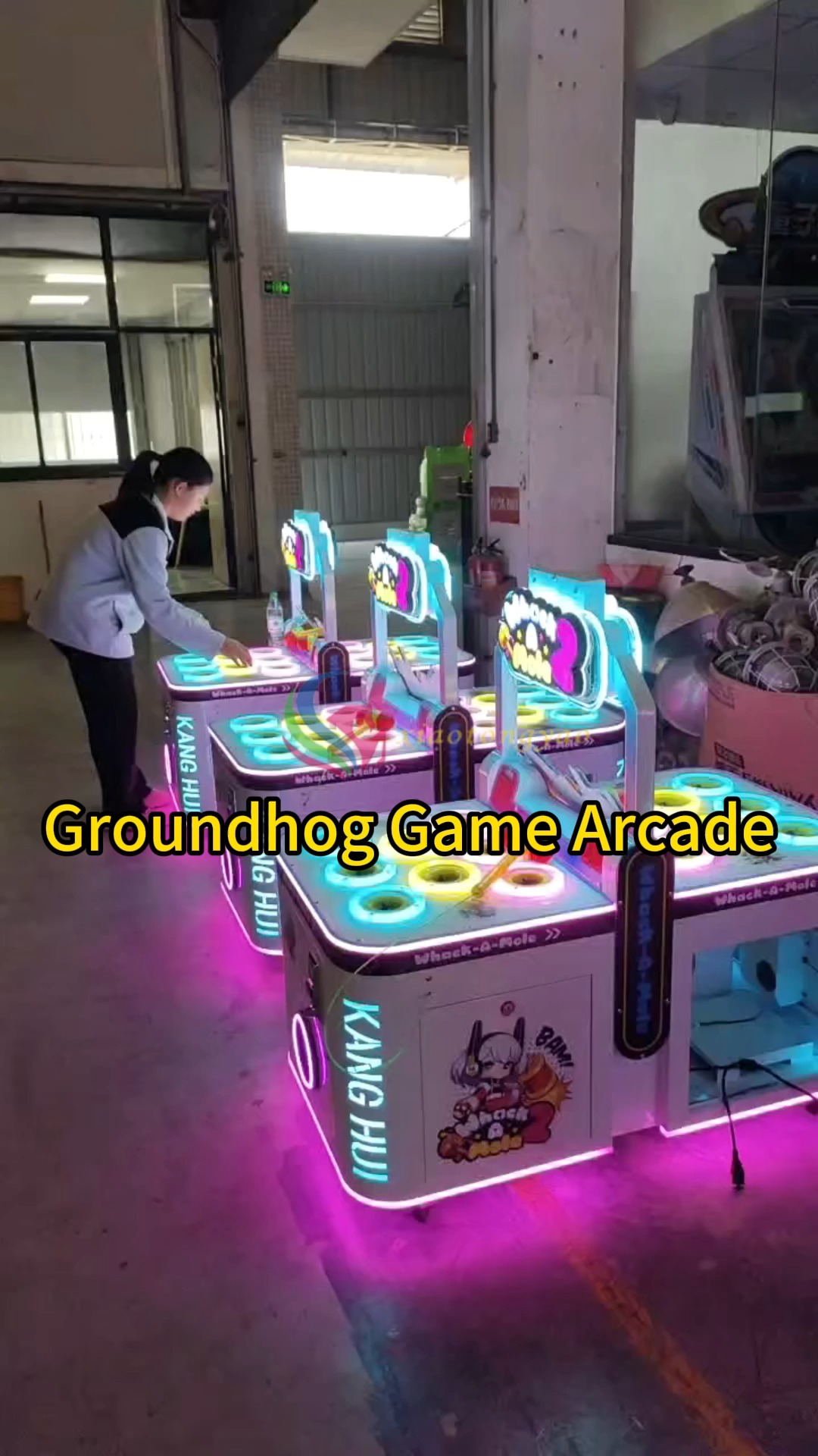 The Origin of the Groundhog Game: From Classic Arcade Games to Modern ...