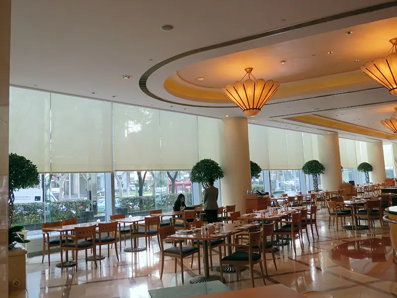 Latest Sun Roller Shade 4