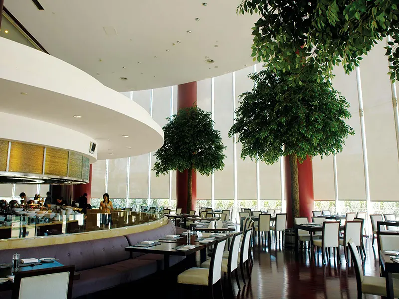 Latest Sun Roller Shade 5