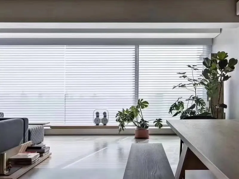 Unveiling The Timeless Beauty Of Shangri La Shades 1