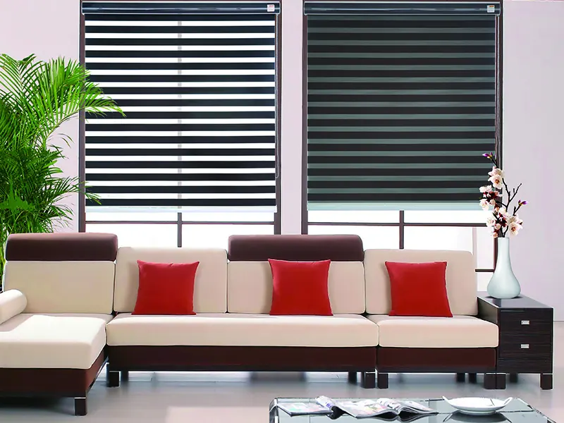 Zebra Shades Blinds - - EMG & YEMAG 2