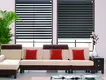 Zebra Shades Blinds - - EMG & YEMAG 2