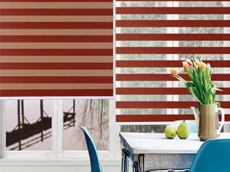 Zebra Shades Blinds - - EMG & YEMAG 3