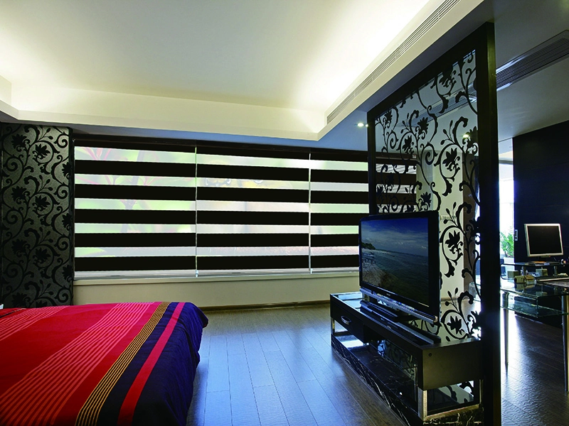 Zebra Shades Window Blinds 1