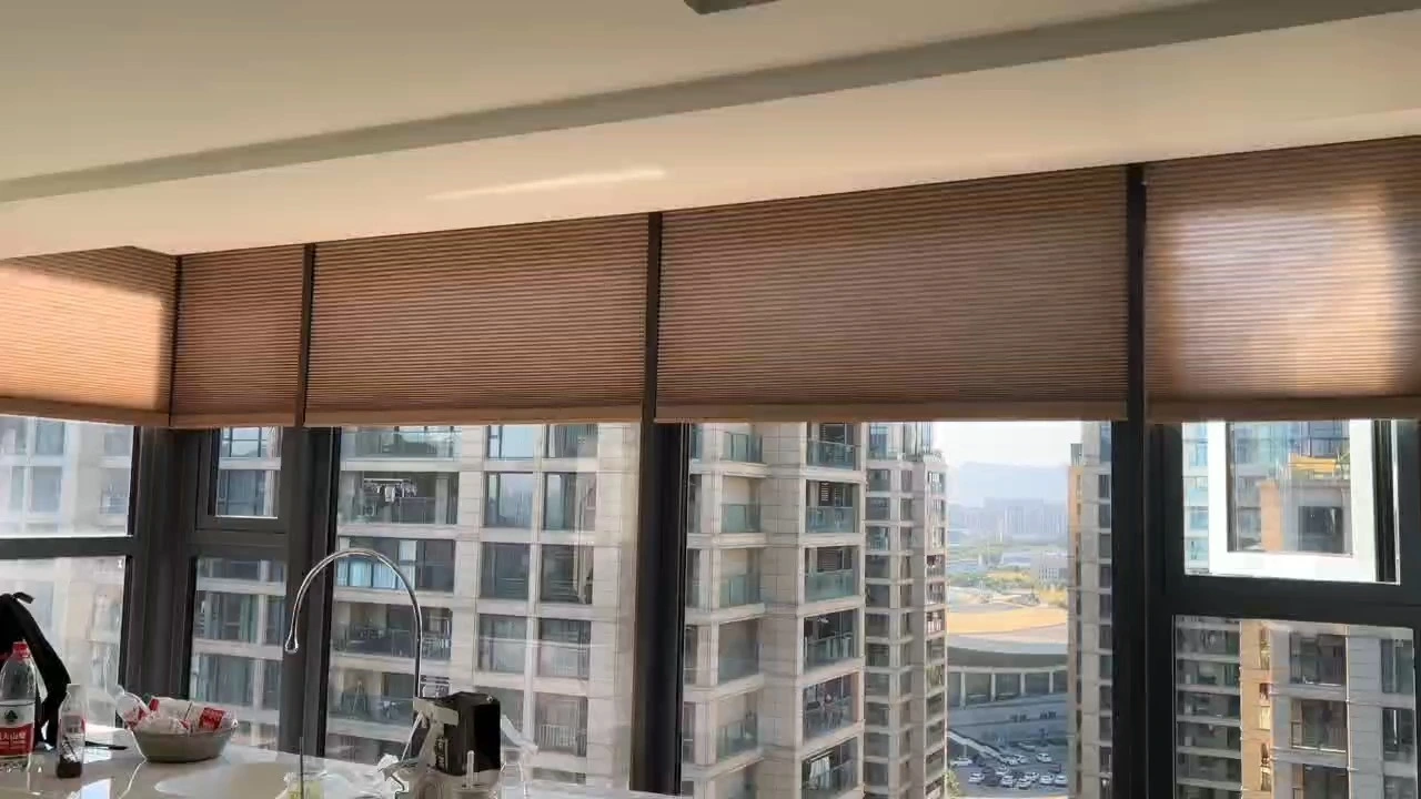 Honeycomb Window Shades 1