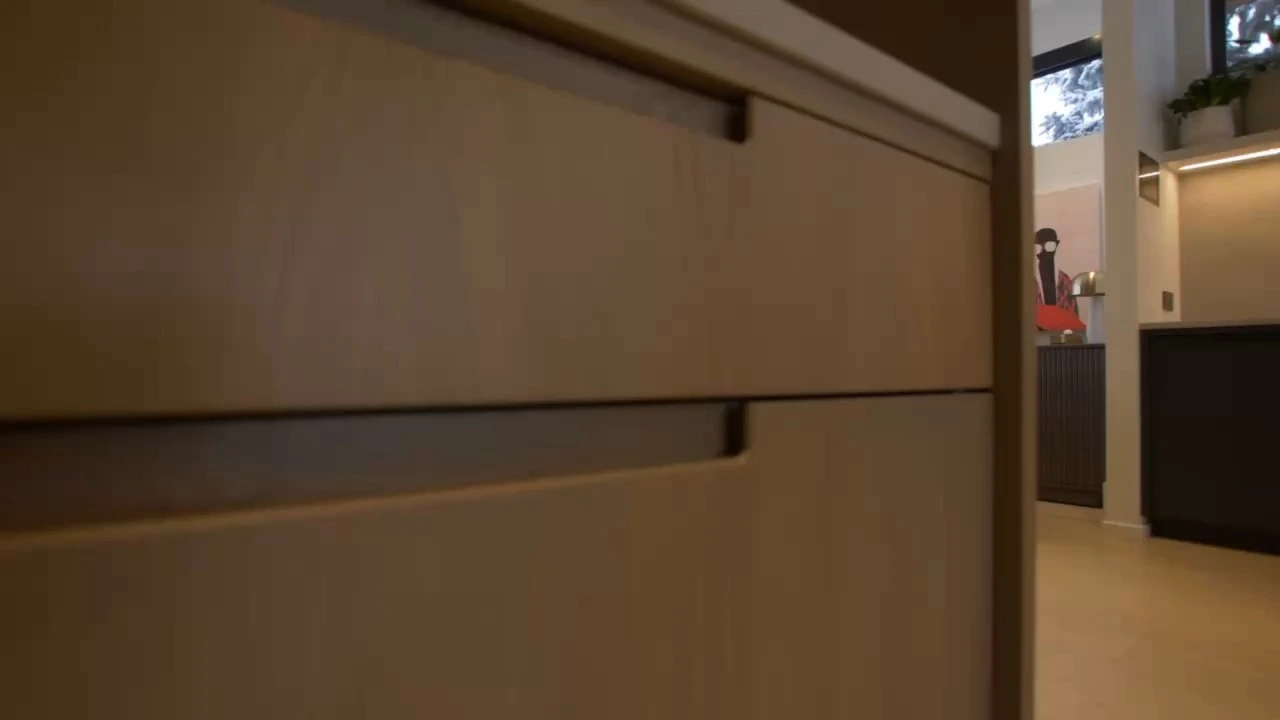 Roller Shade Blinds 1