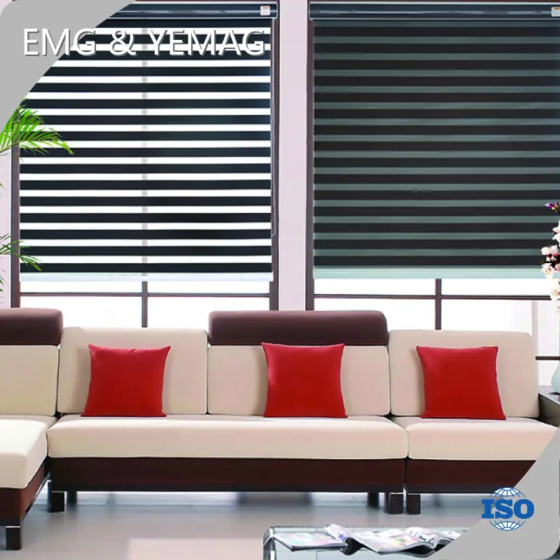 Custom Roller Zebra Shades for Sale 1