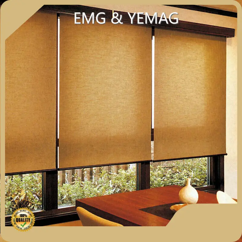 Latest Sun Roller Shade 1