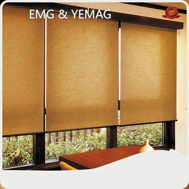 New Roller Shades 1