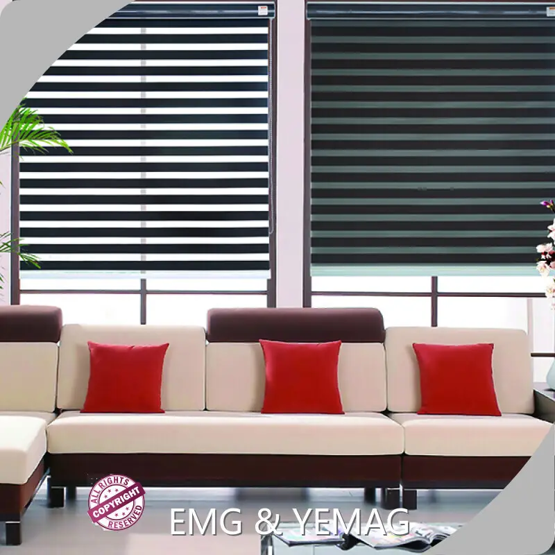 Zebra Shades Blinds - - EMG & YEMAG 1