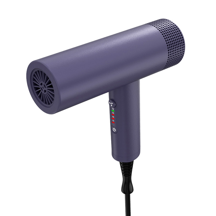 Secador de pelo de 1200 W, 3 ajustes de temperatura y 3 velocidades, 50-100 °C, protección inteligente contra sobrecalentamiento F2713 3
