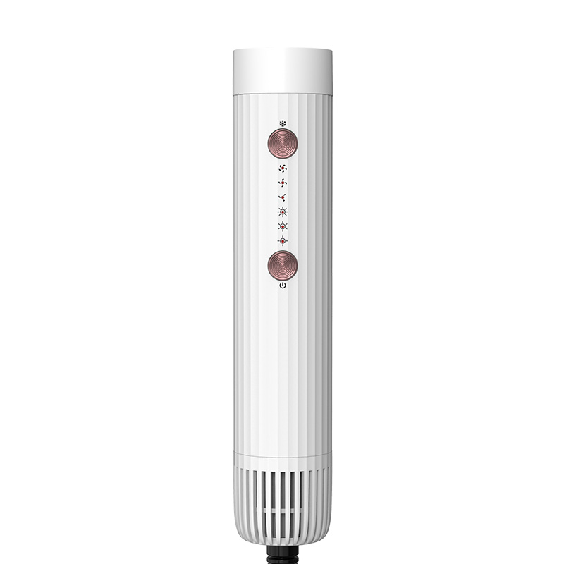 Hot Air Hair Brush Straightener 10.5W Motor 100℃ Dryer 220℃ Straightener F8117 8