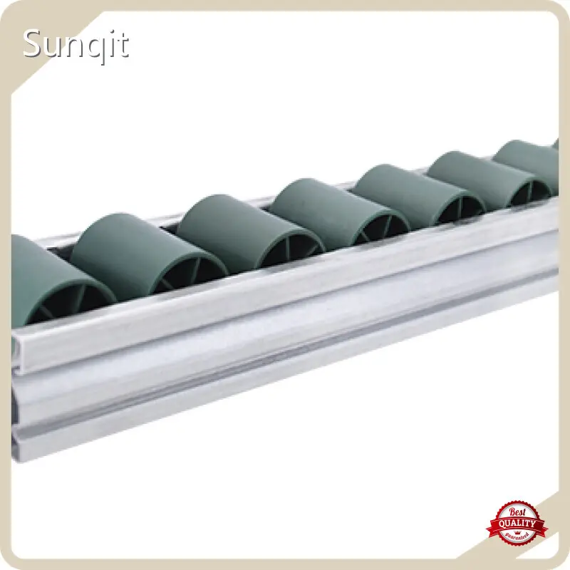 Vía transportadora de rodillos de SUNQIT 1