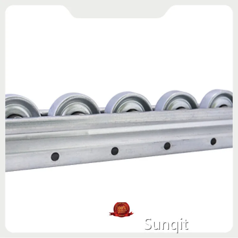 Pista transportadora de rodillos - - SUNQIT-1 1
