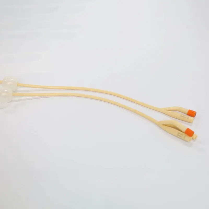 - Foley Catheters: How They Work And When They're Necessary 1