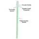 Cleanmo polypropylene handle polyester cleanroom swabs factory for optical sensors 4