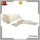 Cleanmo Electronic-grade IPA Snap Swab printer cleaning supplies manufacturer for ID card printers1 1
