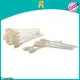 convenient clean printer head Hot-press compound manufacturer for ID card printers 1