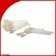 Cleanmo Aluminum Foil Evolis Cleaning Pens factory price for Cleaning Printhead 1