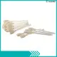 convenient Evolis Cleaning cards Aluminum Foil supplier for Cleaning Printhead 1