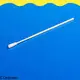 Cleanmo frosted tail of swab handle bacteria swabs factory for molecular-based assays 1