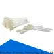Cleanmo Aluminum foil packing zebra printer cleaning supplier for Zebra P120i printer 1