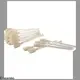 convenient laser printer cleaning kit Hot-press compound manufacturer for Cleaning Printhead 1