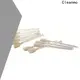 convenient Evolis Cleaning Pens Hot-press compound supplier for ID card printers 1